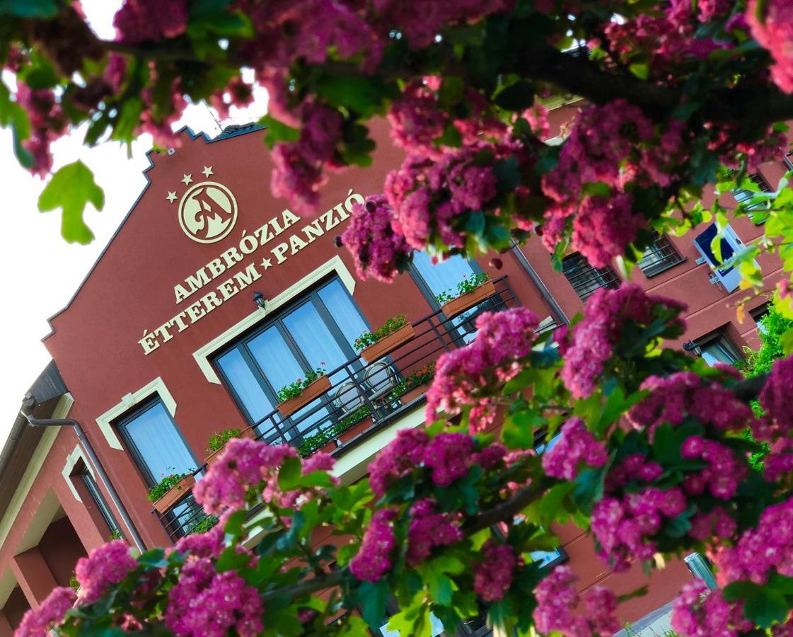 Ambrozia Etterem Es Panzio Bed & Breakfast Kazincbarcika Exterior photo
